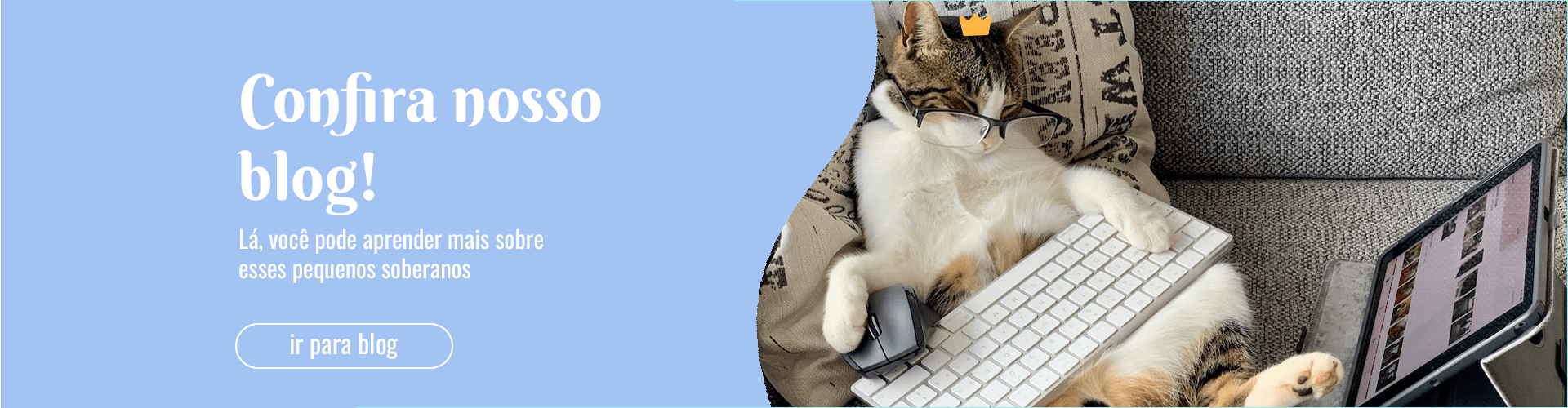 Confira nosso blog, lá você pode aprender mais sobre esses pequenos soberanos, gato com coroa e óculos mexendo em um computador com a pata sobre o mouse  